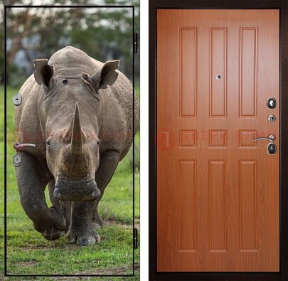 Металлическая дверь с фотопечатью носорога ДФ-31 в Перми